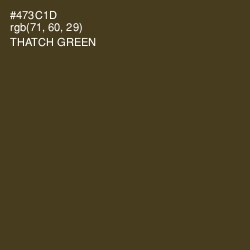 #473C1D - Thatch Green Color Image